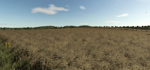 Improved Dirt Textures V1.0