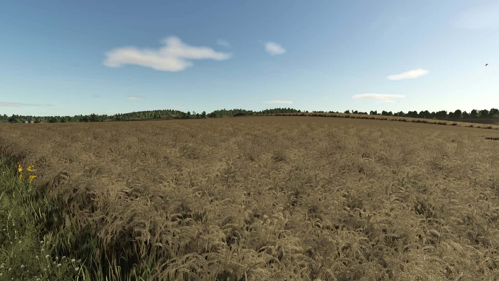 Improved Dirt Textures V1.0