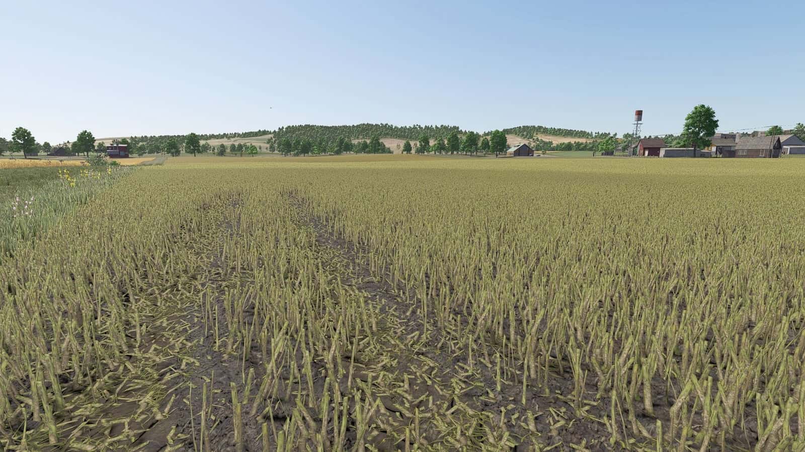 Improved rapeseed plants V1.0.0.1
