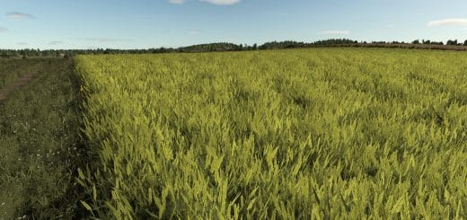 Improved Wheat Textures Second V1.0.0.1
