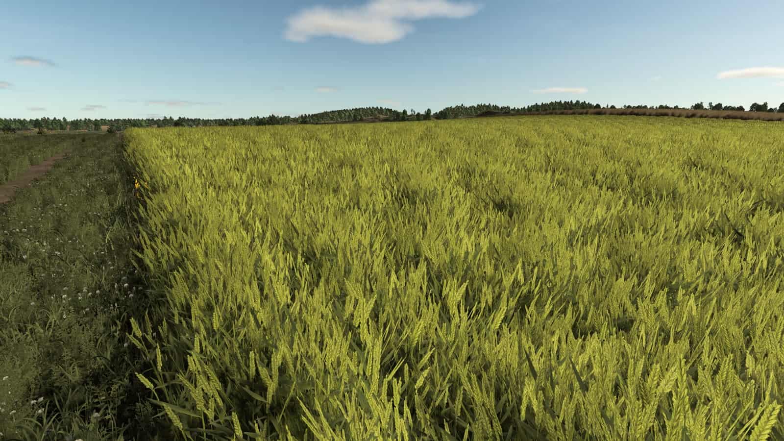 Improved Wheat Textures Second V1.0.0.1