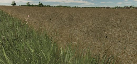 Realistic texture of ripe wheat V1.0.0.0