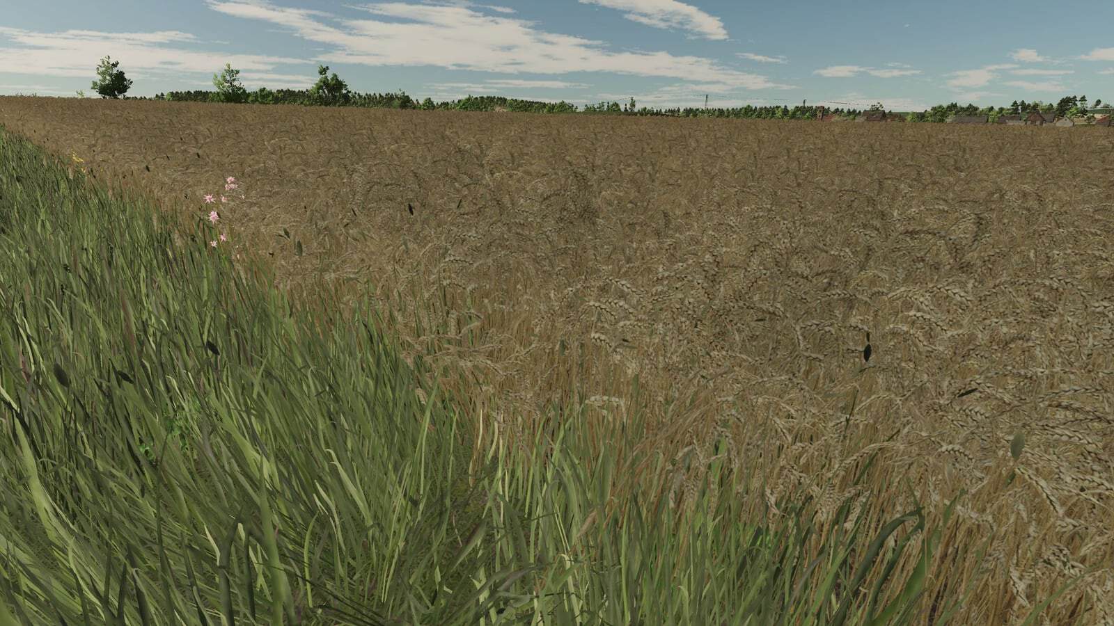 Realistic texture of ripe wheat V1.0.0.0