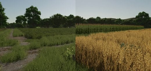 Repopulate Fields V1.0.1.0