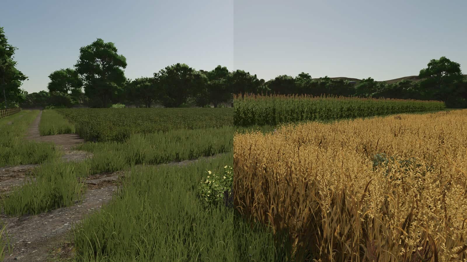 Repopulate Fields V1.0.1.0