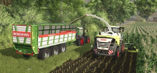 Bergmann HTW 65 S V1.0.0.0