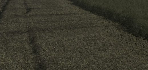 Grass Texture V1.0.0.0