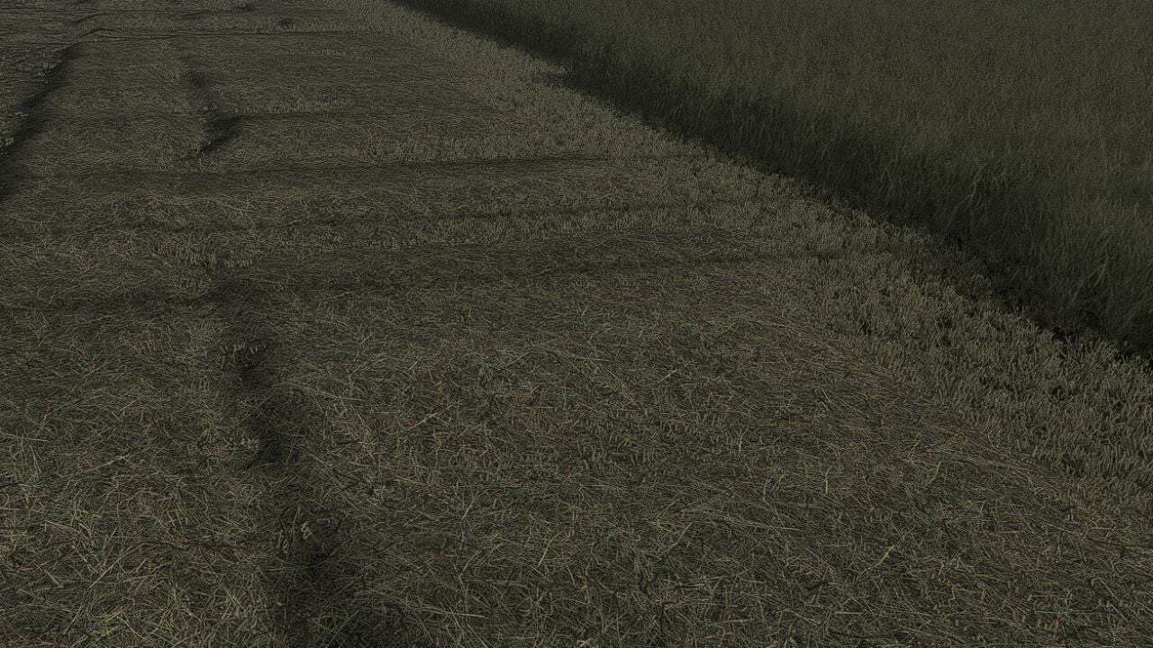 Grass Texture V1.0.0.0