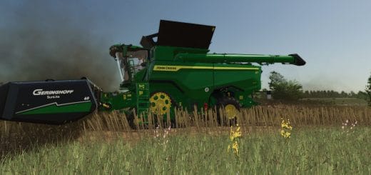 High-resolution texture of cut sunflower V1.2.0.0