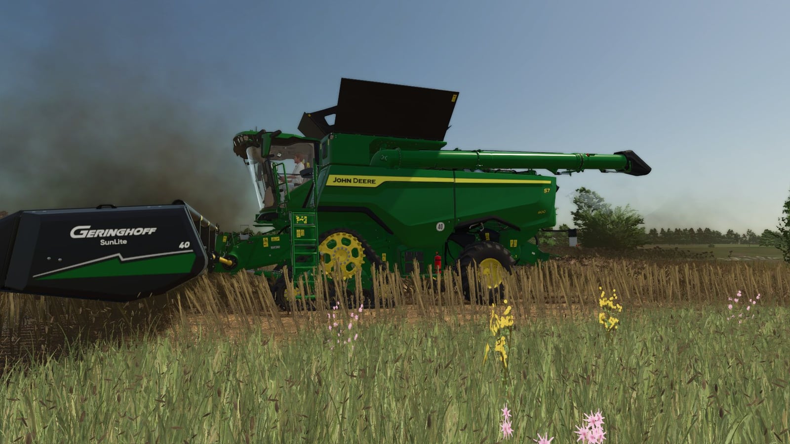 High-resolution texture of cut sunflower V1.2.0.0