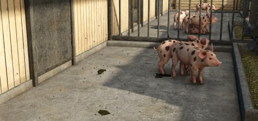 Livestock Flies V1.0.0.0