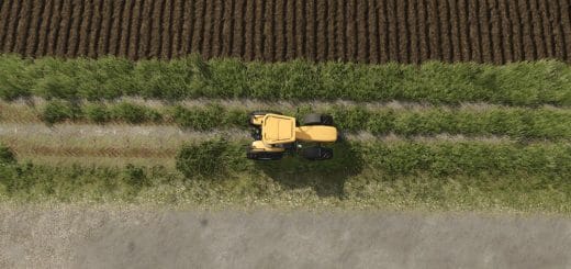 Meadow Trails V1.0.1.0