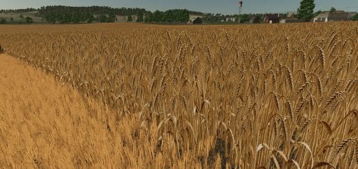 Realistic barley texture V1.0.0.0
