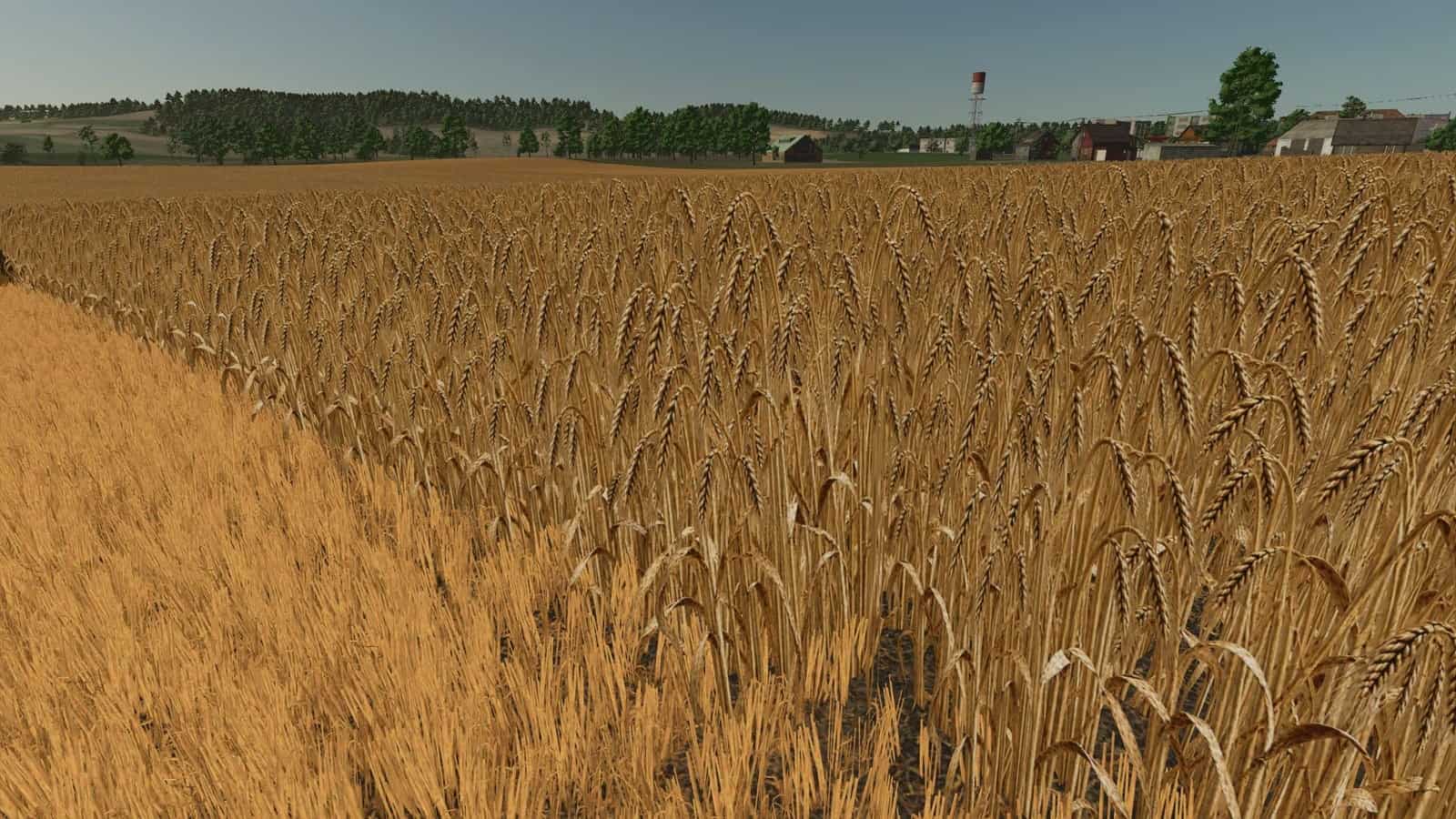 Realistic barley texture V1.0.0.0