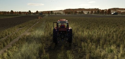 Respect your Neighbors V1.1.0.0