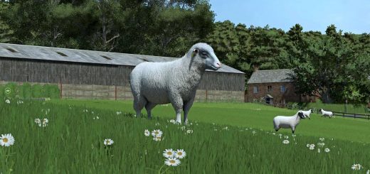 Sheep Breeds for RLRM v1.0