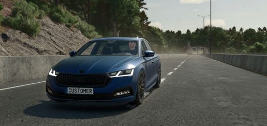 Skoda Octavia 2020 Tuning V2.2.0.0