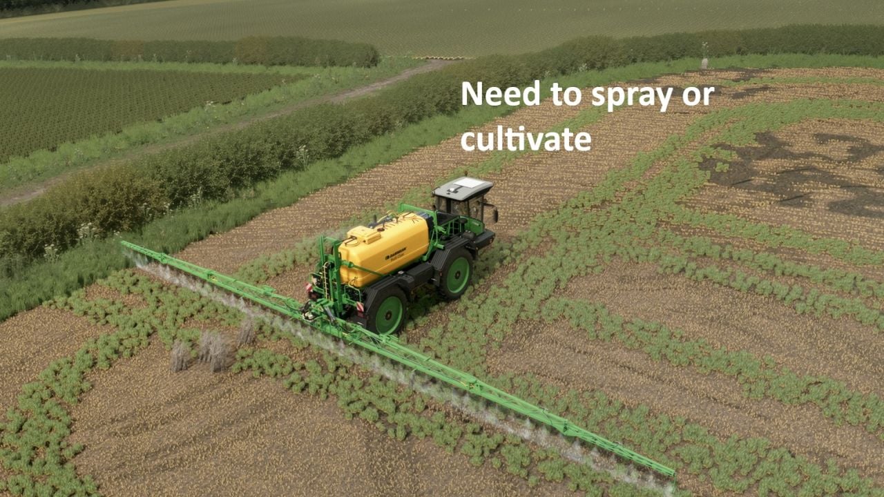 Volunteer Crops and Weeds V1.0.0.0