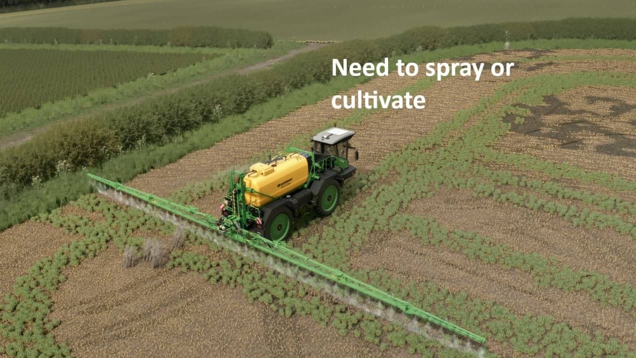 Volunteer Crops and Weeds V1.3.1.0